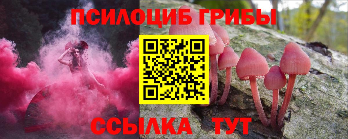 Долгопрудный  Псилоцибиновые грибы Psilocybine cubensis  Вход с VPN 